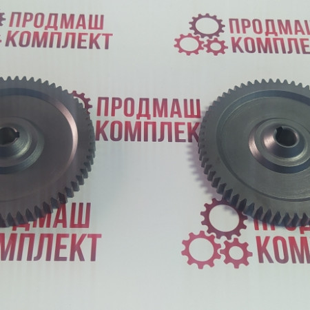 202300200 Шестерня Vemag LPG